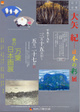 poster for "Spring's Manyo Japanese Painting" Exhibition