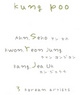 poster for "Kung Poo" Exhibition