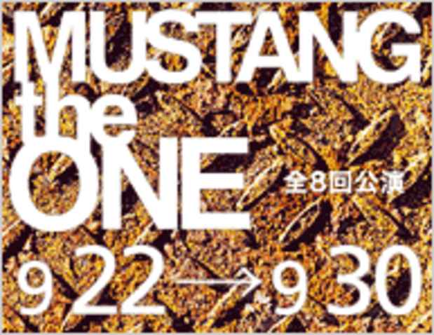 poster for 「GRINDER-MAN Performance in NAMURA ART MEETING MUSTANG the ONE」展