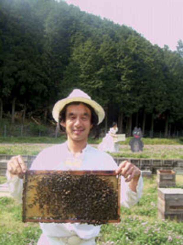 poster for Uzubachi Apiary "Me and the Bees"