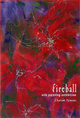 poster for Tomomi Chatani "Fireball"