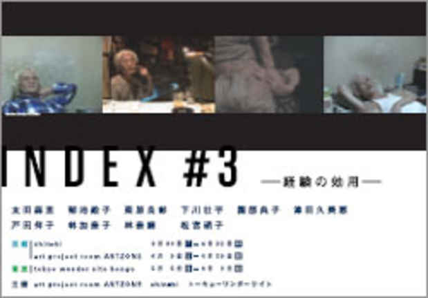 poster for "Index #3 -Using Experience-" Exhibition