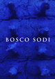 poster for Bosco Sodi "Chaotic Order"