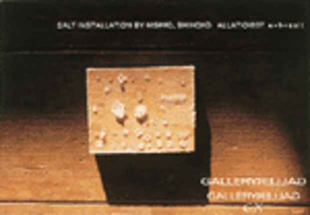 poster for "a + b + salt" Exhibition