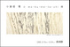 poster for Tamaki Ozone "Wood Texture"