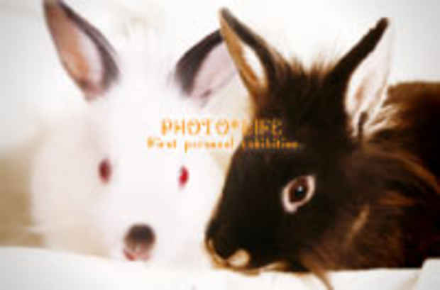 poster for Hazuki Ito "Photo-Life"