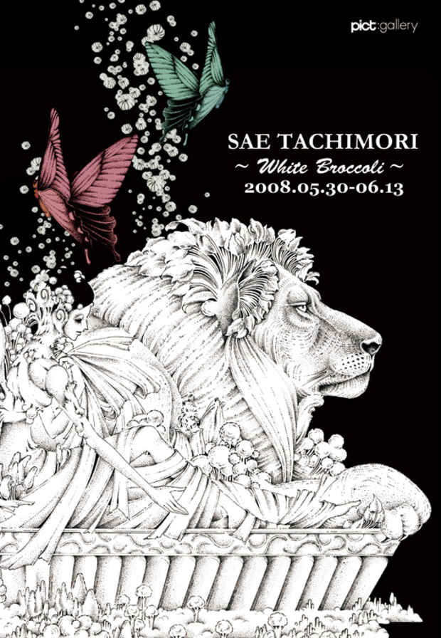 poster for Sae Tachimori "White Brocolli"