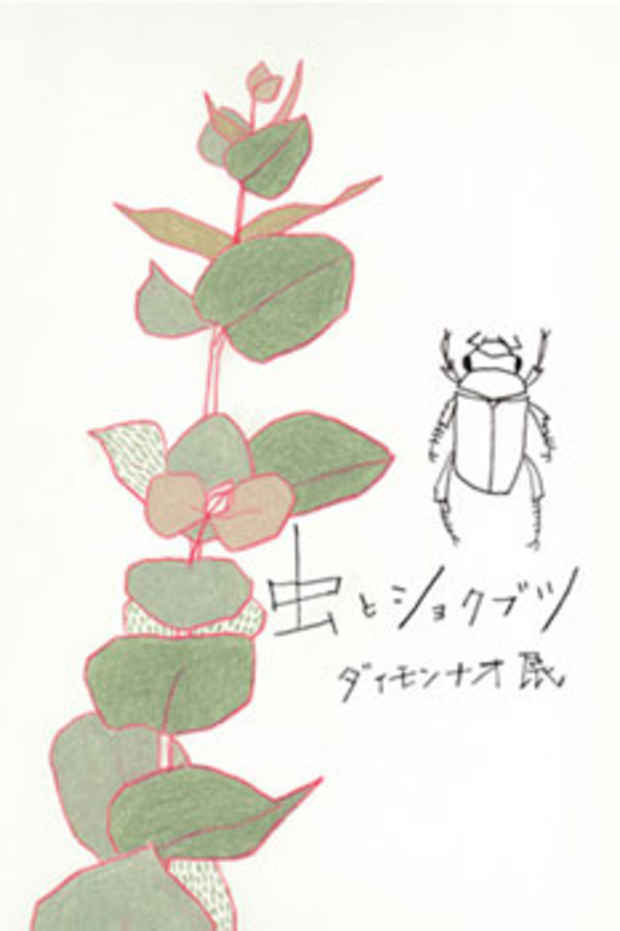 poster for Daimonnao “Insects and Plants” 
