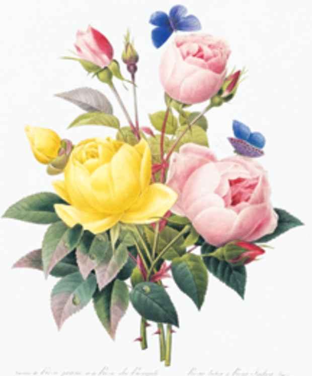 poster for 「王妃マリー・アントワネット、 ナポレオン皇妃ジョゼフィーヌに仕えた 宮廷画家ルドゥーテ 花の美学展」
