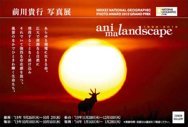 poster for 前川貴行 「animalandscape 1998 - 2013」