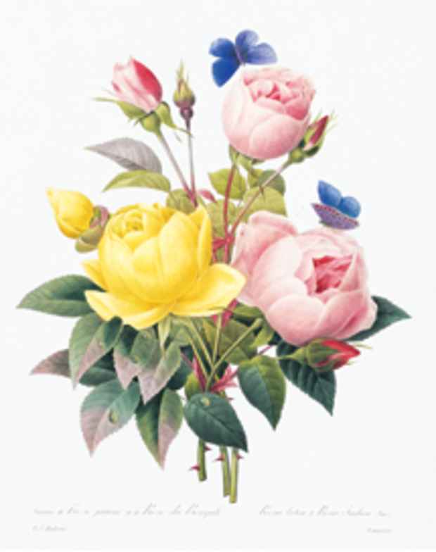poster for 「王妃マリー・アントワネット、 ナポレオン皇妃ジョゼフィーヌに仕えた 宮廷画家ルドゥーテ 花の美学」展