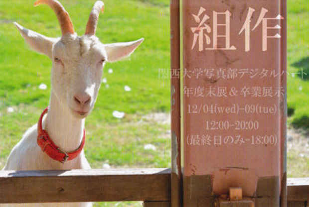 poster for 「関西大学写真部デジタルパート年度末展」