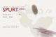 poster for 「SPURT 2013 – 京都造形芸術大学大学院 芸術表現専攻 修士課程2回生作品展 - 」