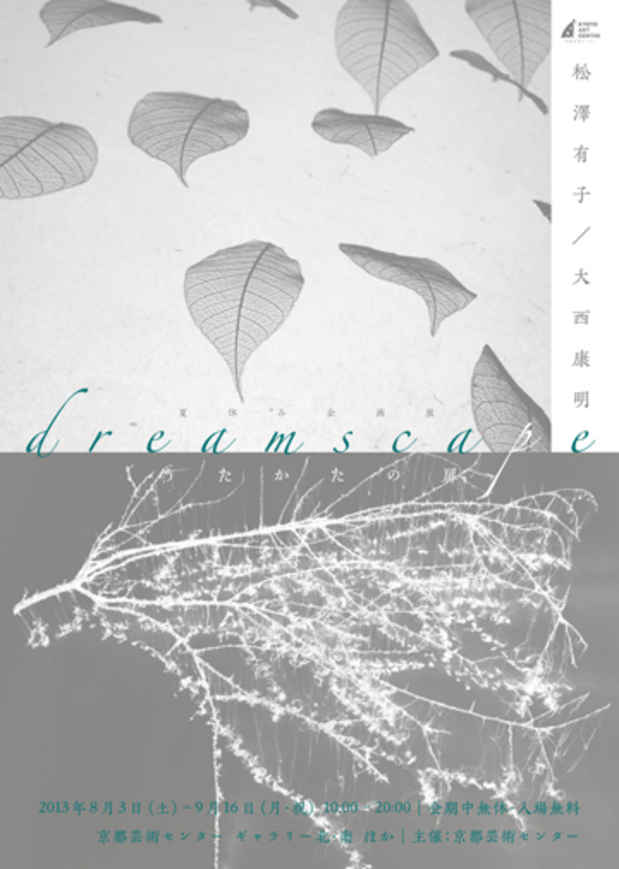 poster for Dreamscape - La porte de l’écume