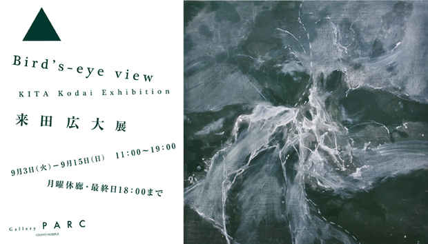 poster for 来田広大 「Bird’s-eye view」