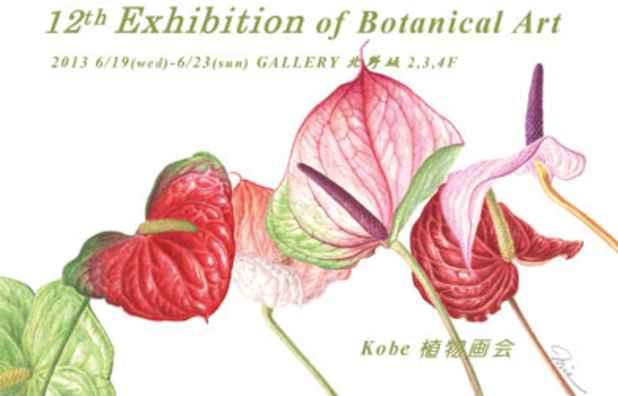 poster for Kobe Botanical Painting Club “The 12th Botanical Art Exhibition”