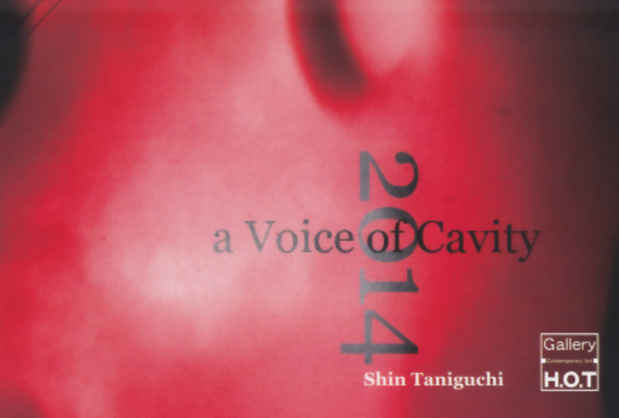 poster for Shin Taniguchi Exhibition