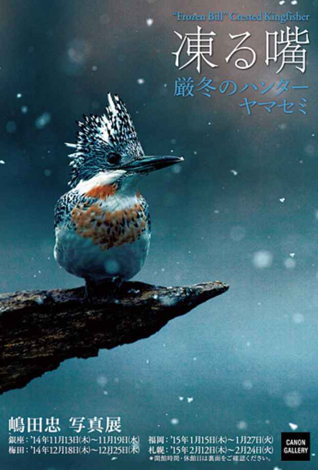 poster for 嶋田忠 「凍る嘴 - 厳冬のハンター - 」