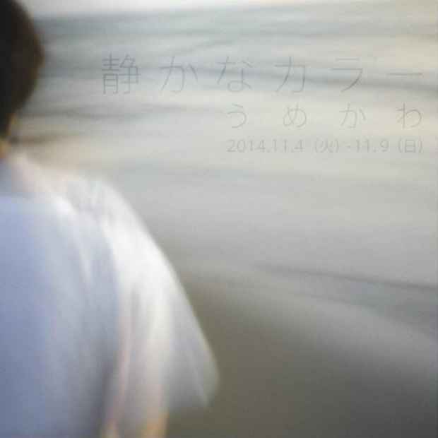 poster for 梅川ゆかり 「静かなカラー」