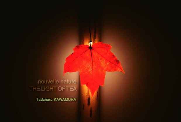 poster for Tadaharu Kawamura “Nouvelle Nature: The Light of Tea”