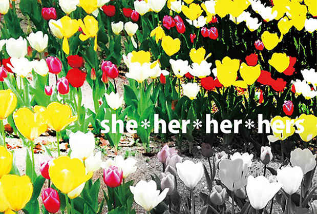 poster for 「She*her*her*hers - 写真と珈琲 - 」展