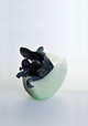 poster for Yutaka Umezawa “Utsusemi— Empty Shells”