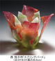 poster for Two Glass Artists: Kazumi Ikemoto and Etsuko Nishi