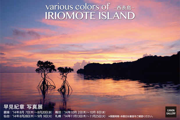 poster for 早見紀章 「Various Colors of IRIOMOTE ISLAND - 西表島 -」