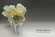 poster for Makiko Takahashi “Glass Exhibition II— Pâte de Verre”