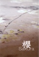 poster for Kyoka Okumura “Sakura”