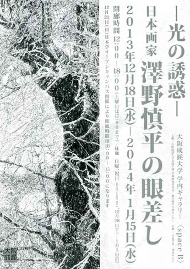 poster for 「光の誘惑 - 日本画家 澤野慎平の眼差し - 」展