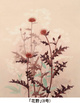 poster for Yuko Matsumoto “Flower Bird Lyricism”