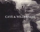 poster for Torihiko “Cave and Wilderness”