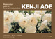 poster for Kenji Aoe “Watercolor Paint in Three Primary Colors”