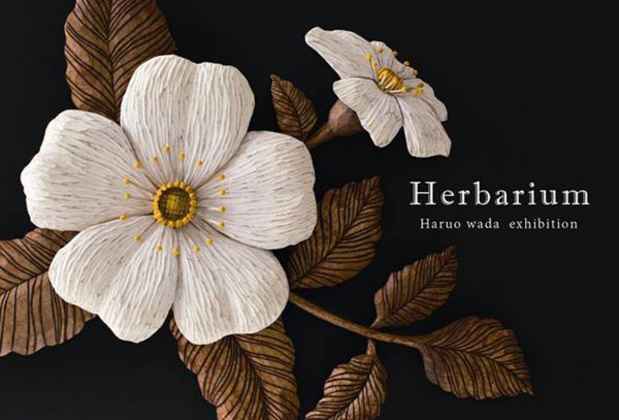 poster for Haruo Wada “Herbarium”