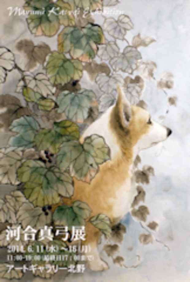 poster for 河合真弓 展