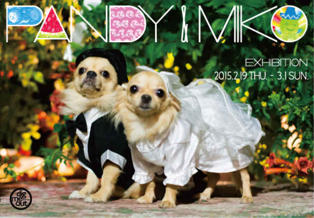 poster for Tomosuke Kashihara + Yayoi Deki “Pandy & Miko”
