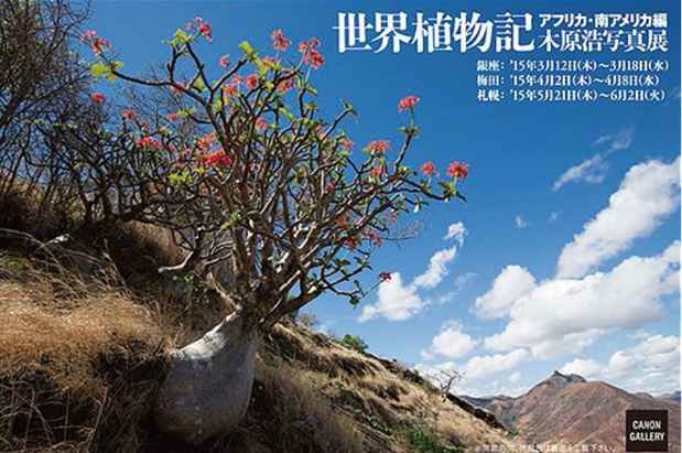 poster for 木原浩 「世界植物記 アフリカ・南アメリカ編」