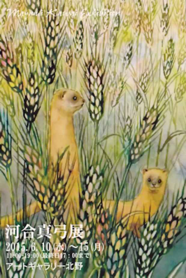 poster for 河合真弓 展