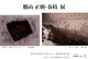 poster for Masanori Katsuyama + Harue Katsuyama Exhibition