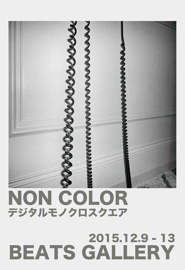 poster for 「NON COLOR - デジタルモノクロスクエア - 」 展