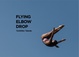 poster for Toshihiko Takeda “Flying Elbow Drop”