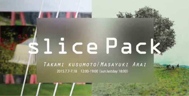 poster for 楠本孝美 + 荒井理行 「Slice Pack」