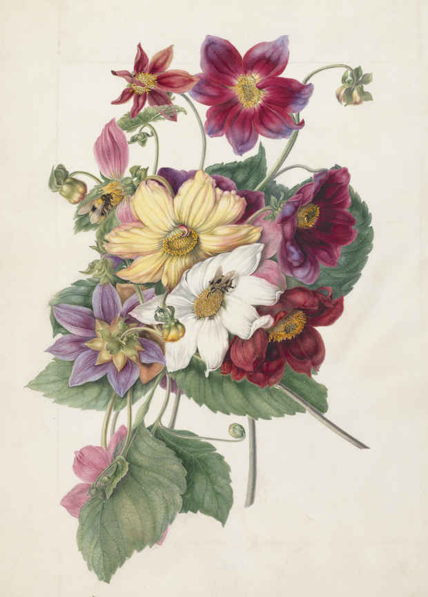 poster for 「イギリス王立植物園の植物画 イングリッシュ・ガーデン -英国に集う花々-」展