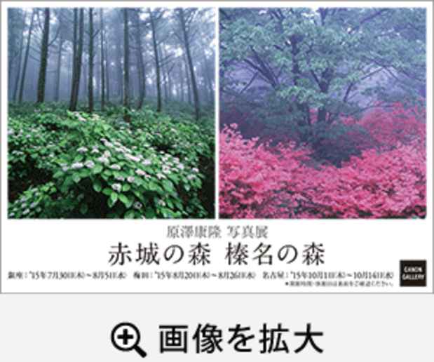 poster for 原澤康隆 写真展 「赤城の森 榛名の森」