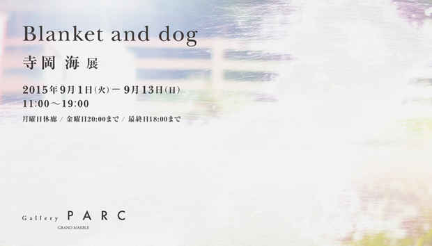 poster for 寺岡海 「Blanket and dog」