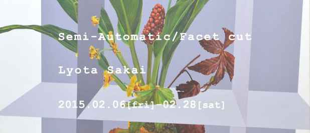 poster for 坂井良太 「Semi-Automatic / Facet cut」
