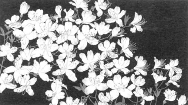 poster for 片山治之 「野の花」