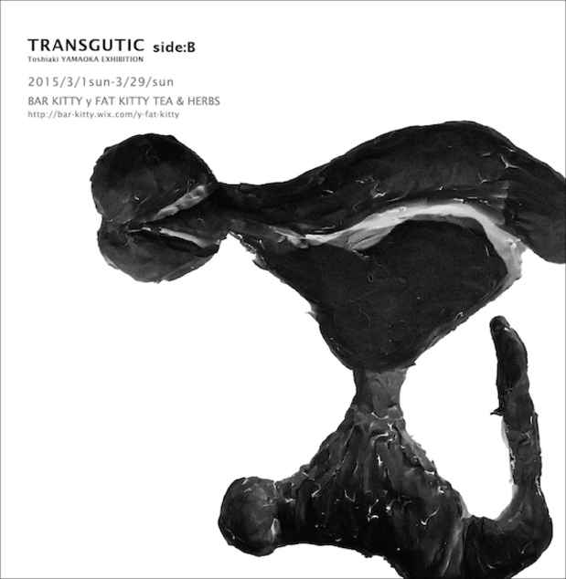 poster for Transgutic Side:B