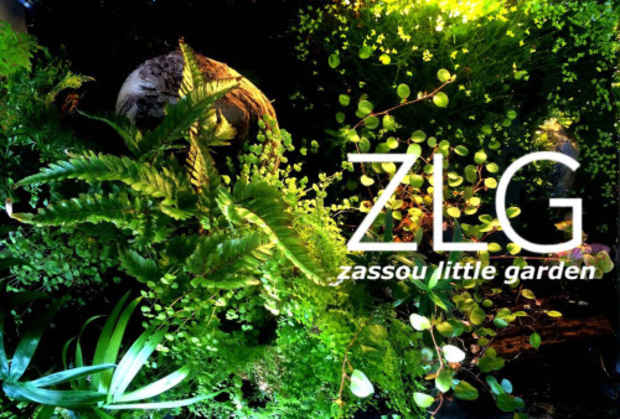poster for ZLG- Zassou Little Garden